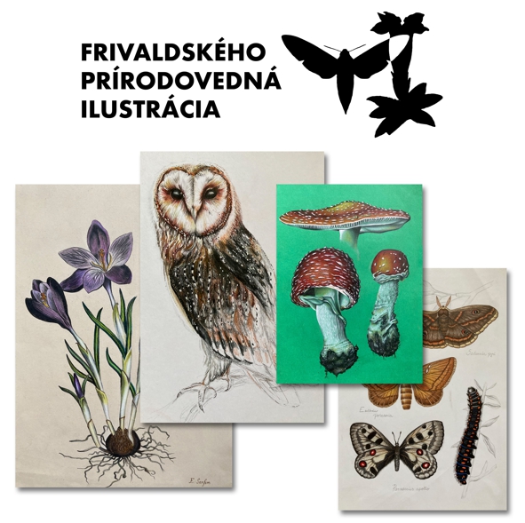 Upútavka - Výstava Frivaldského prírodovedná ilustrácia (JPG)