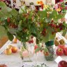 Výstva ovocia, zeleniny a kvetov v Rajci - 2016 (12).JPG