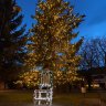 Novú výzdobu vianočného stromčeka na námestí v Rajci podporili aj sponzori