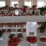 Fotogaléria - výstava ovocia, zeleniny a kvetov v Rajci (3).jpg
