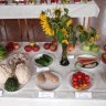 Fotogaléria - výstava ovocia, zeleniny a kvetov v Rajci (9).jpg